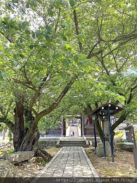 【長野】小布施散步去「岩松院」與「淨光寺」