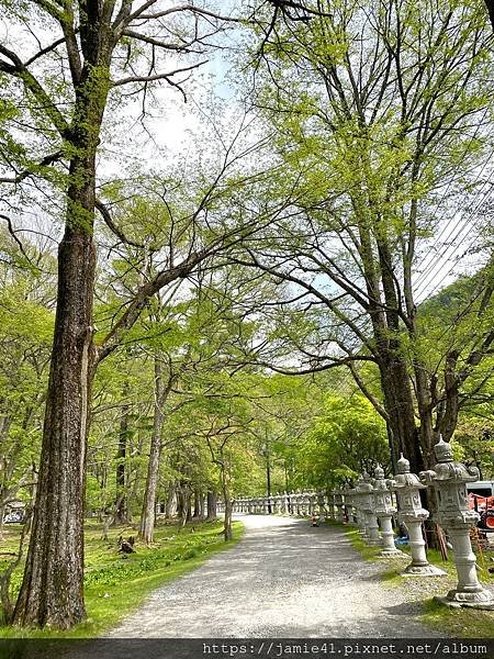 【日光】奧日光戰場之原健行(上)：湯元溫泉～湯瀑布(湯滝)