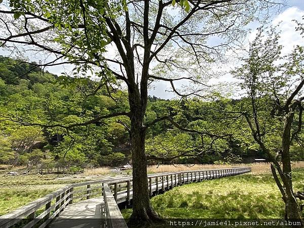 【日光】奧日光戰場之原健行(上)：湯元溫泉～湯瀑布(湯滝)