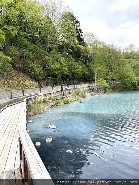 【日光】奧日光戰場之原健行(上)：湯元溫泉～湯瀑布(湯滝)