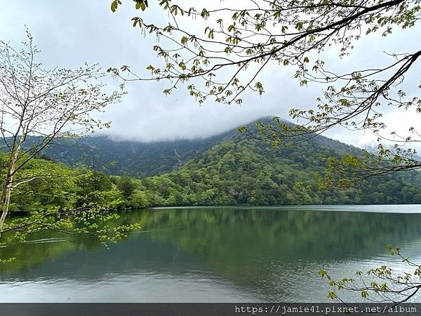 【日光】奧日光戰場之原健行(上)：湯元溫泉～湯瀑布(湯滝)