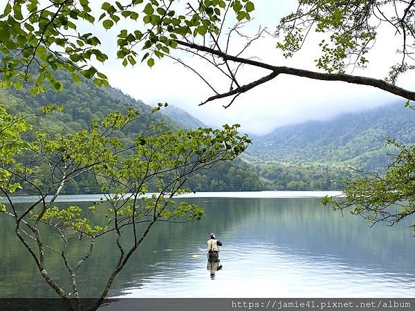 【日光】奧日光戰場之原健行(上)：湯元溫泉～湯瀑布(湯滝)