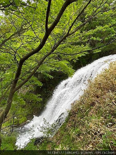 【日光】奧日光戰場之原健行(上)：湯元溫泉～湯瀑布(湯滝)