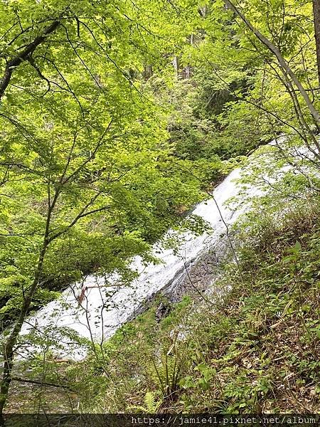 【日光】奧日光戰場之原健行(上)：湯元溫泉～湯瀑布(湯滝)