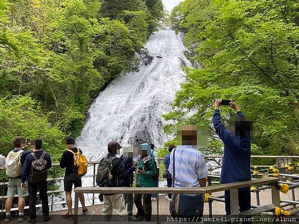 【日光】奧日光戰場之原健行(上)：湯元溫泉～湯瀑布(湯滝)