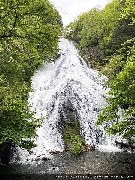 【日光】奧日光戰場之原健行(上)：湯元溫泉～湯瀑布(湯滝)