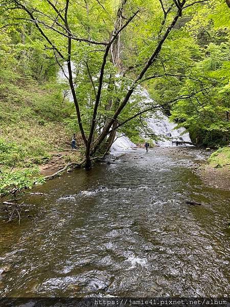 【日光】奧日光戰場之原健行(上)：湯元溫泉～湯瀑布(湯滝)