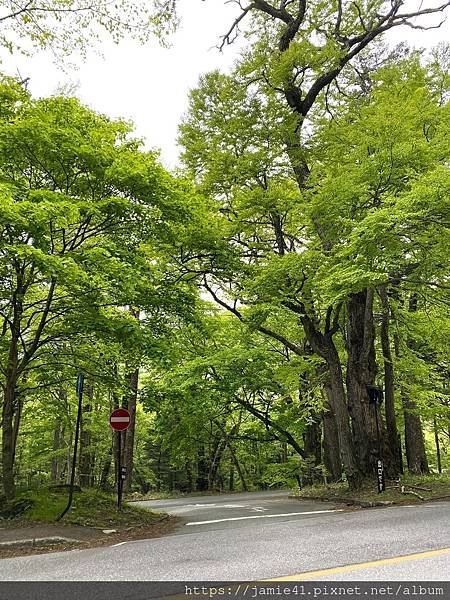 【日光】奧日光戰場之原健行(上)：湯元溫泉～湯瀑布(湯滝)