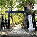 【上田】信濃國分寺～信州龍脈(Ley Line)的起點