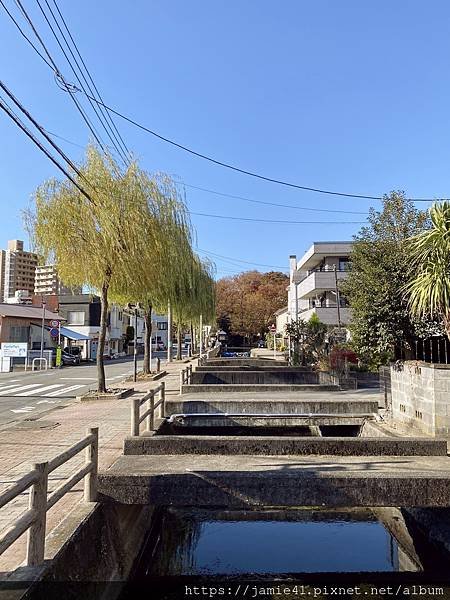 【三島】源兵衛川遊步道散策