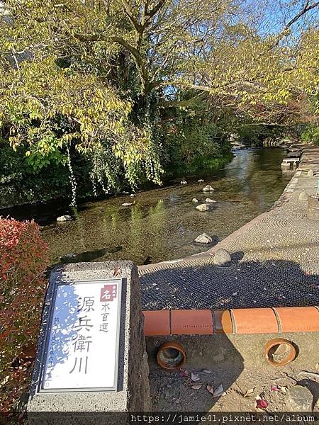 【三島】源兵衛川遊步道散策