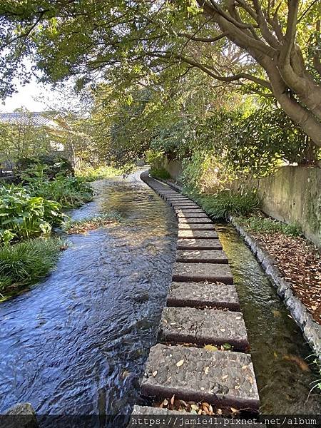 【三島】源兵衛川遊步道與水同行