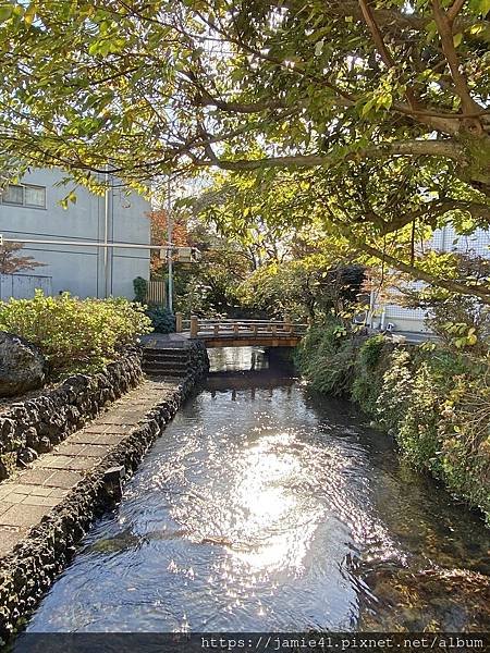 【三島】源兵衛川遊步道與水同行