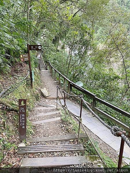 【烏來】內洞國家森林遊樂區～三大步道一次走起來