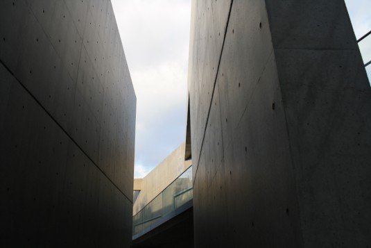 IMG_1205.jpg