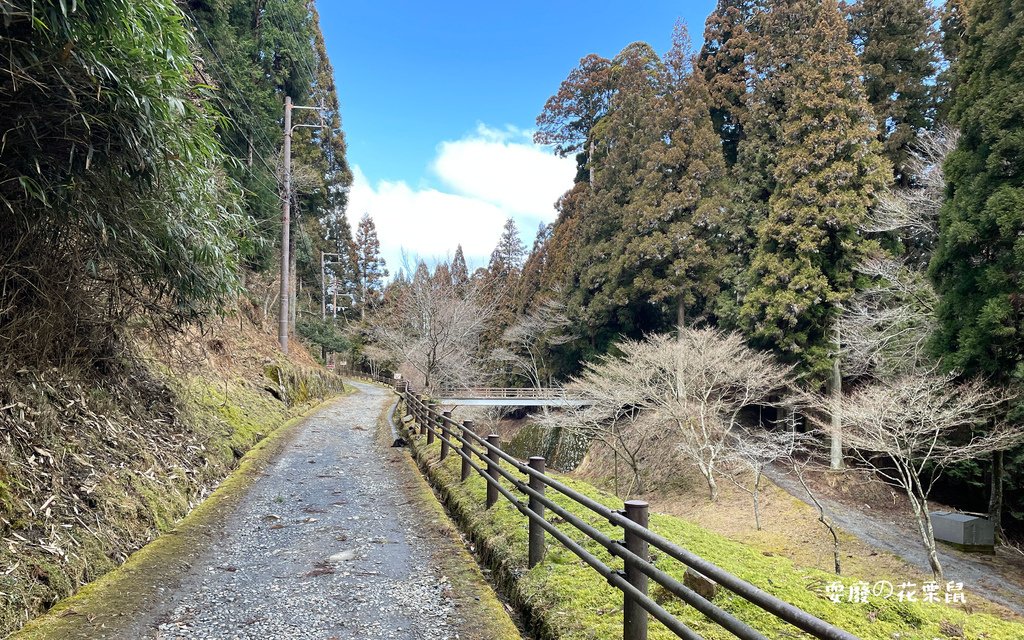 [京都近郊]比叡山一日遊 坂本纜車 遊覽世界文化遺產延曆寺 