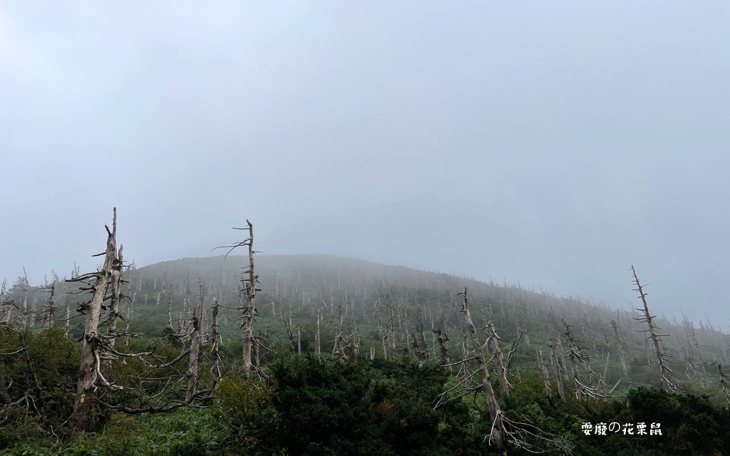 [仙台近郊]藏王御釜—絕美萬年火山寶石湖 一日遊行程安排 公