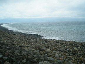 P6062660.jpg