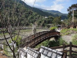 DSC00219.jpg