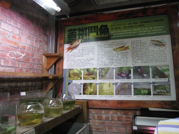 aIMG_0220.jpg