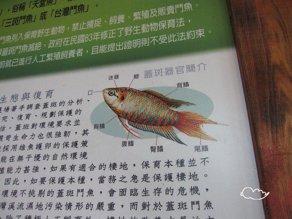 aIMG_0224.jpg