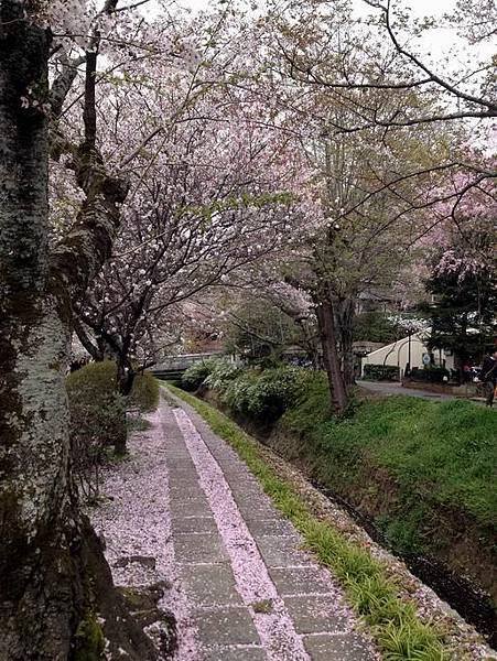 日本京都哲學之道
