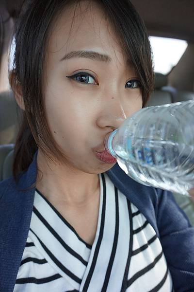 DSC03243