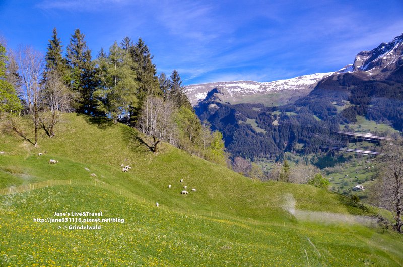DSC_3784-161.jpg