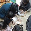 DSCN2244