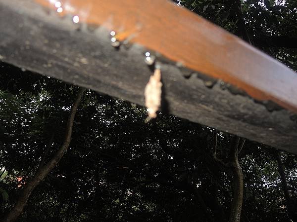 DSCN8829.JPG