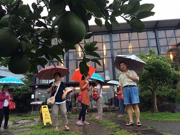 20160618養妍社慶十周年旅遊_1794.jpg