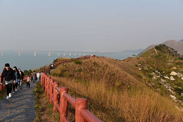 DSC_0456-s.jpg