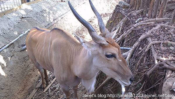 新竹市立動物園