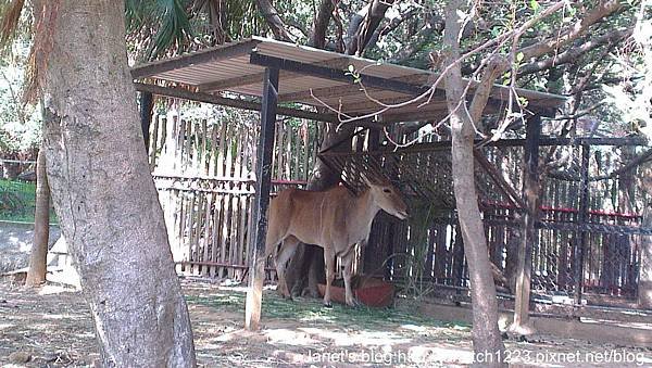 新竹市立動物園