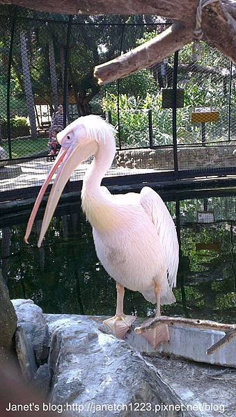 新竹市立動物園