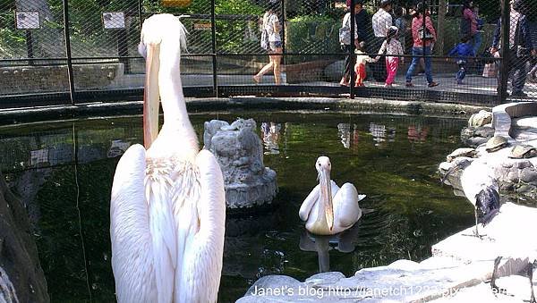 新竹市立動物園