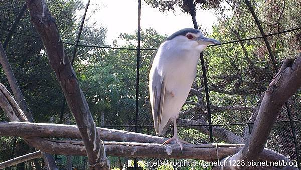 新竹市立動物園