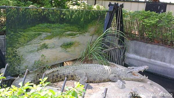 新竹市立動物園