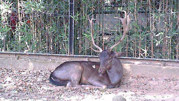 新竹市立動物園