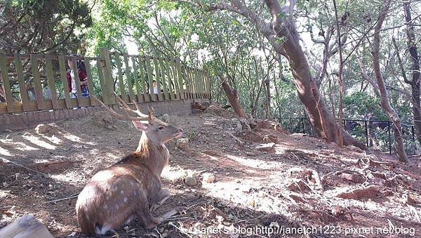 新竹市立動物園