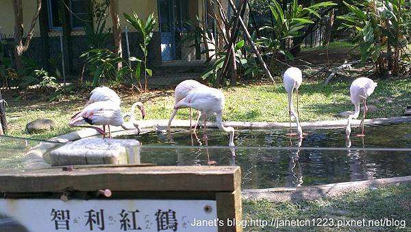 新竹市立動物園