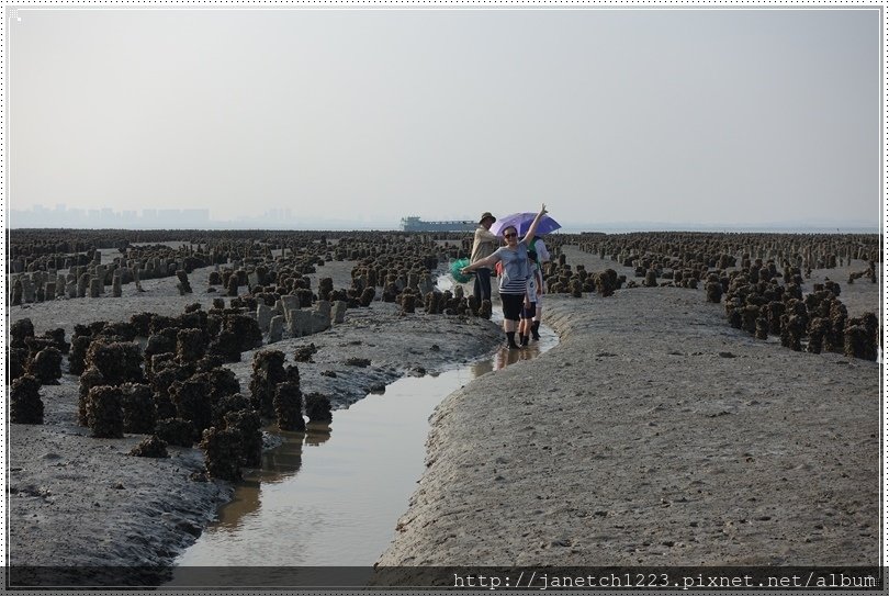 金門北山海口採蚵