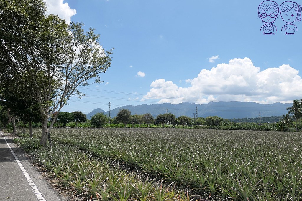 38 瑞穗棕櫚湖民宿 腳踏車