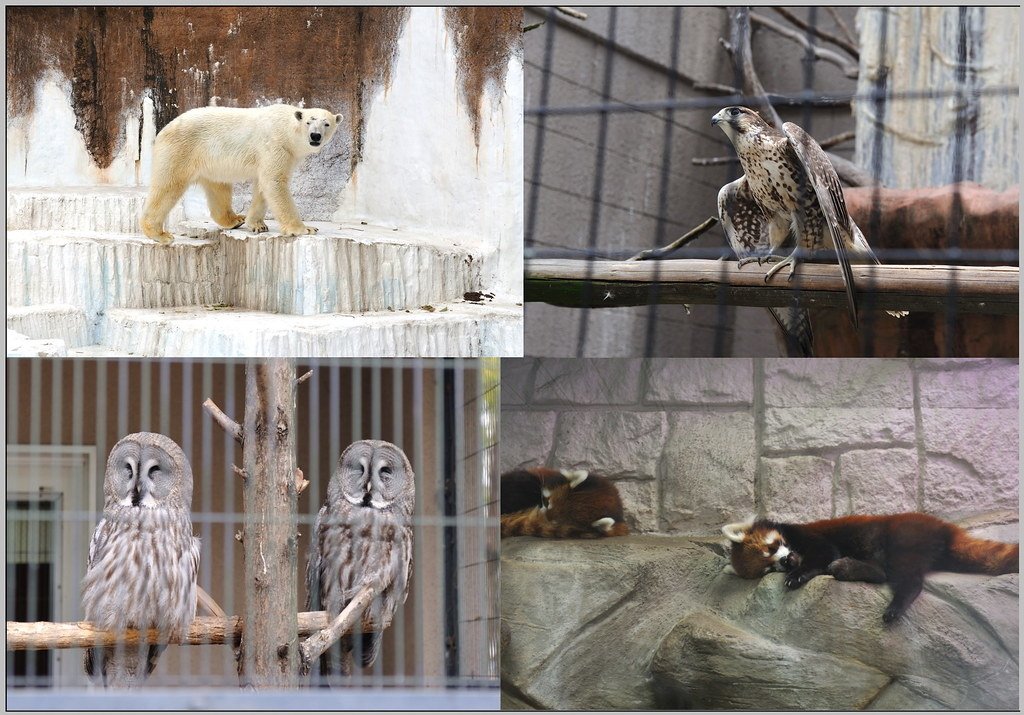 0 大阪 大阪市天王寺動物園