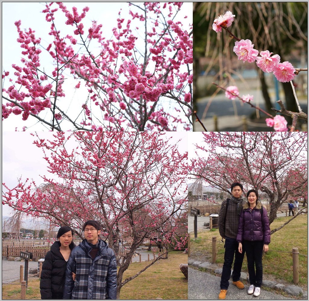 9 京都 嵐山櫻花