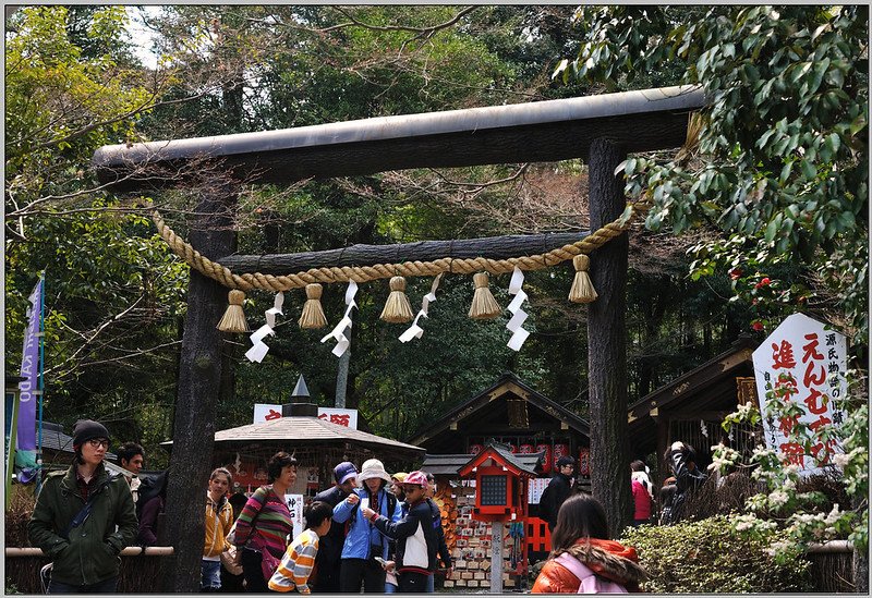 20 京都 嵐山 野宮神社 黑木鳥居