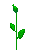 flower_0004