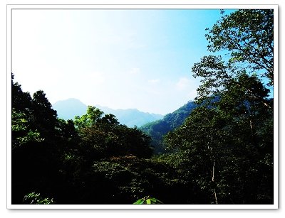 大板根森林溫泉渡假村29.jpg
