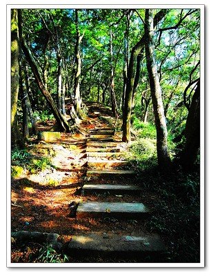 大板根森林溫泉渡假村26.jpg