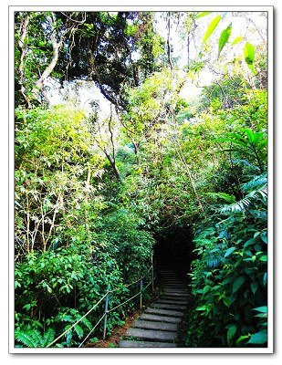大板根森林溫泉渡假村30.jpg